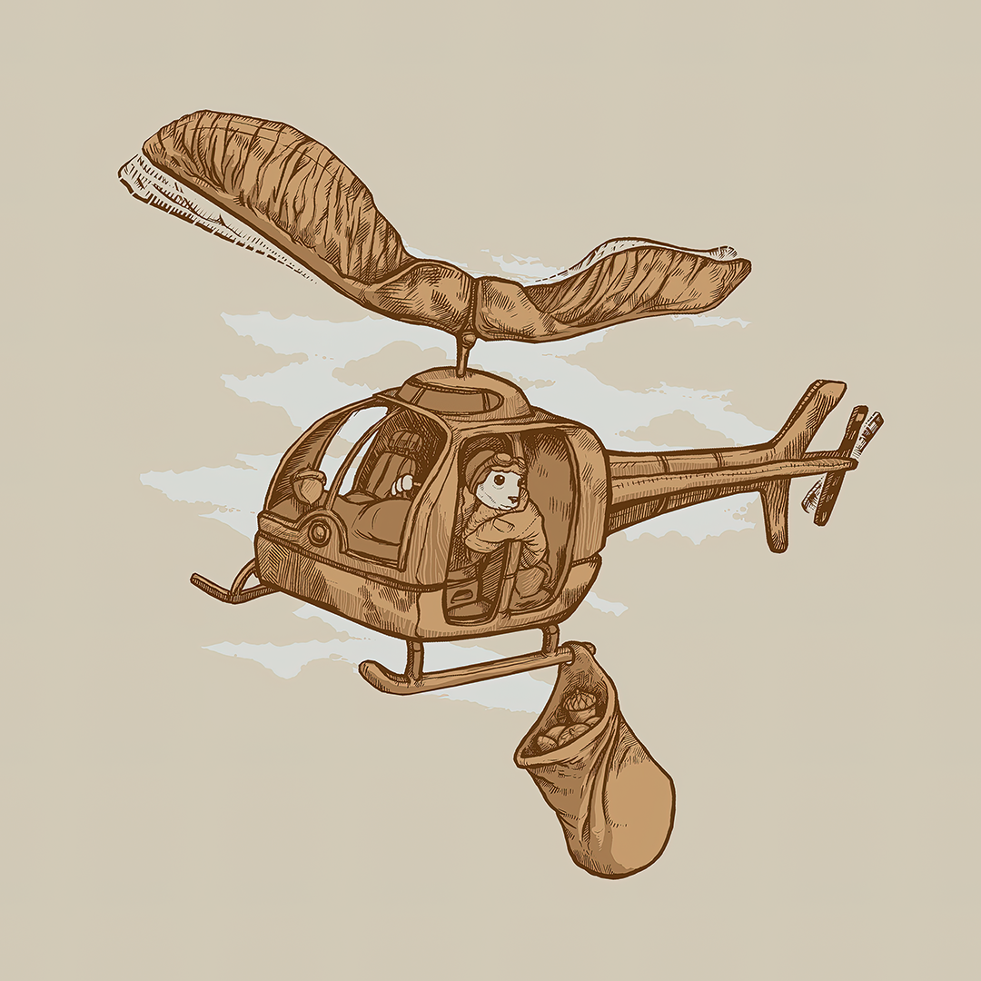 Squirrelicopter